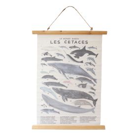 Affiche tissu cétacés