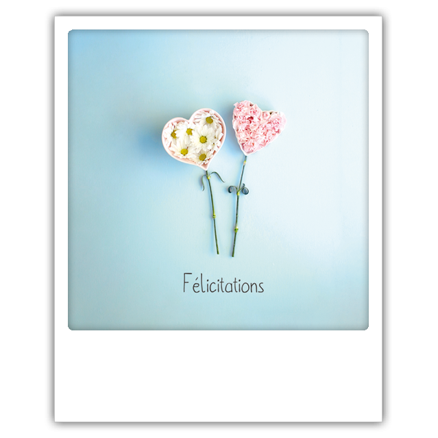 Carte Postale Polaroid Felicitations Fleurs Pickmotion Le Petit Souk